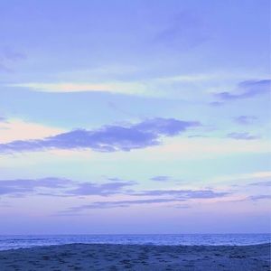 Meet your Posher, Delaney